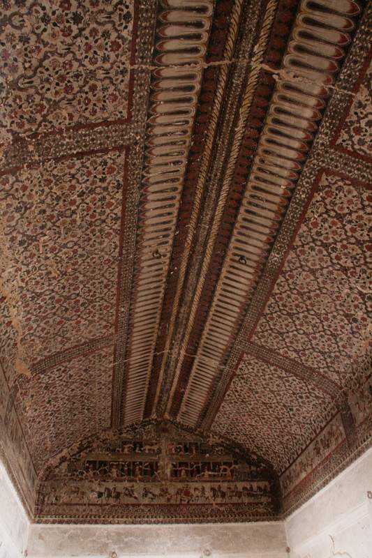 India & Nepal 2011 - 1065